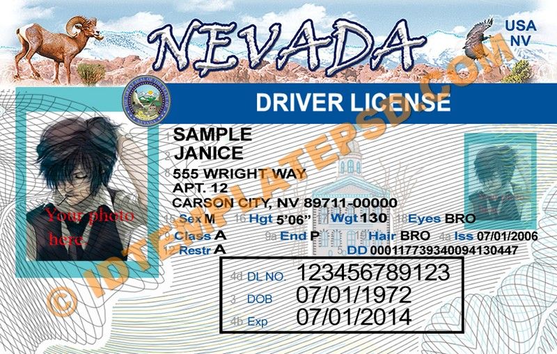 Free Florida Id Template Download
